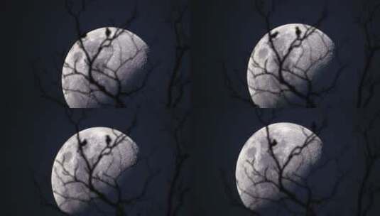 夜晚空镜巨大的月亮前景树枝高清在线视频素材下载