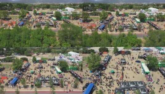 斯巴达勇士少年儿童户外体育运动比赛高清在线视频素材下载