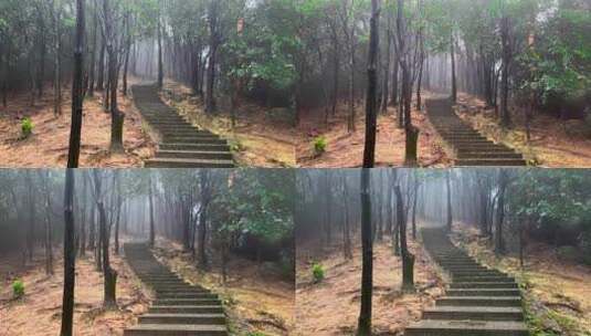 下雨登山起雾深山楼梯石阶高清在线视频素材下载