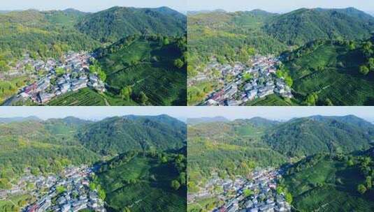 4k 航拍杭州西湖龙井茶乡农业种植特写高清在线视频素材下载