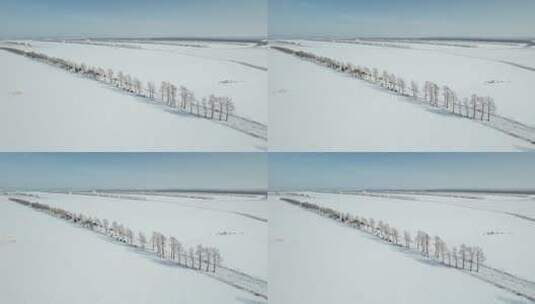 黑龙江五大连池平原林海雪原自然风光高清在线视频素材下载