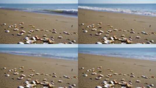 沙滩上的贝壳高清在线视频素材下载