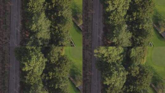 无人机航拍绿树高清在线视频素材下载