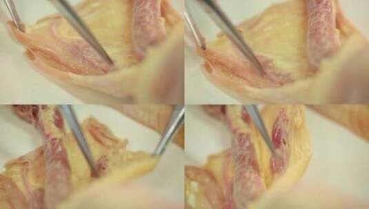 禽类鸡肉白羽鸡皮下淋巴腺高清在线视频素材下载