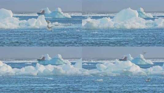 海冰漂浮经过搁浅冰山高清在线视频素材下载