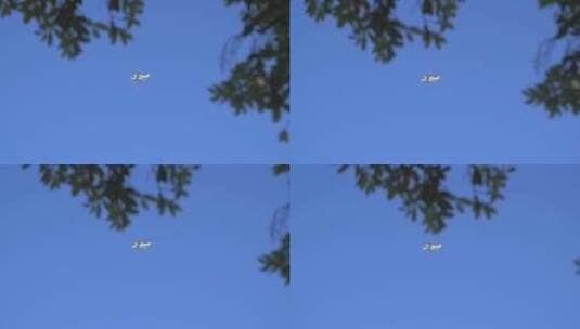 空中飞行的飞机高清在线视频素材下载