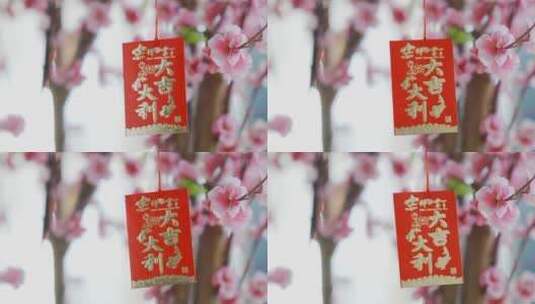 腊梅树上悬挂新年祝福红包高清在线视频素材下载