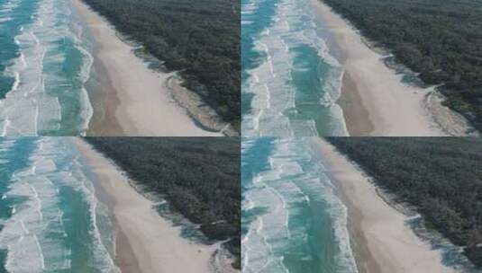大海沙滩海浪白色浪花黑松林高清在线视频素材下载