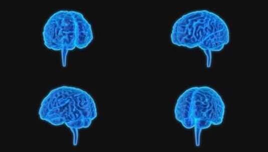 医学 大脑 脑科学 三维 脑ct1 模型高清在线视频素材下载