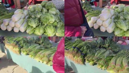 买菠菜买油菜买绿叶菜卖菜高清在线视频素材下载