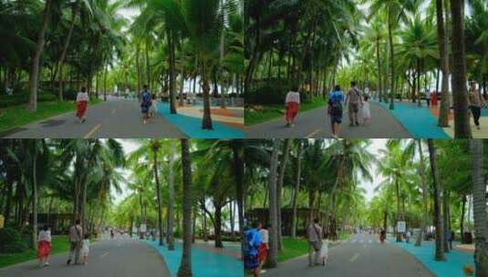 海南三亚旅游椰树椰林椰梦长廊景区林荫小路高清在线视频素材下载