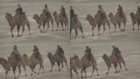 沙漠中骑着骆驼前行的人们高清在线视频素材下载