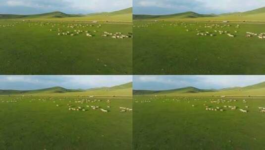 航拍草原羊群 汽车公路高清在线视频素材下载