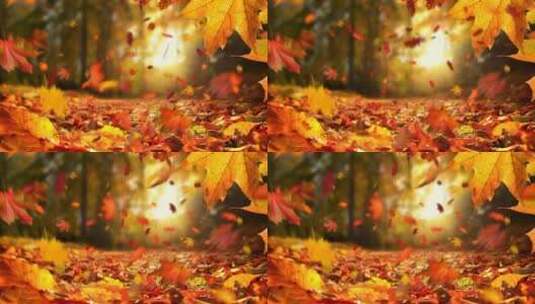 灿烂金秋、秋风扫落叶、秋叶飘落高清在线视频素材下载