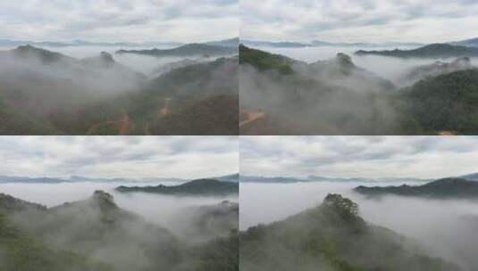 云雾笼罩下的山林高清在线视频素材下载