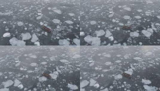 橡皮充气摩托艇上的人在南极冰上航行。高清在线视频素材下载