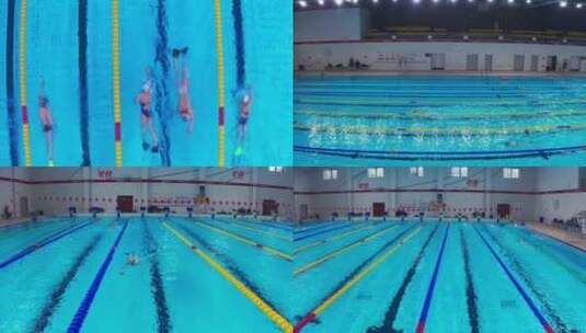 游泳池游泳训练高清在线视频素材下载