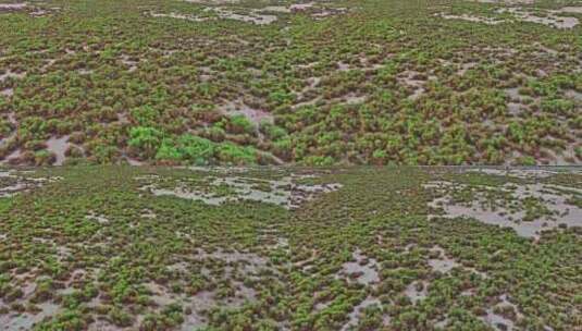 新疆吐鲁番盆地湿地航拍高清在线视频素材下载