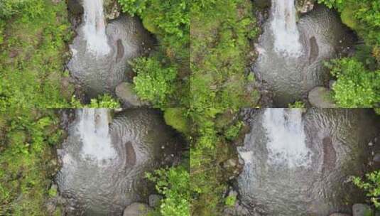 丛林中的瀑布高清在线视频素材下载