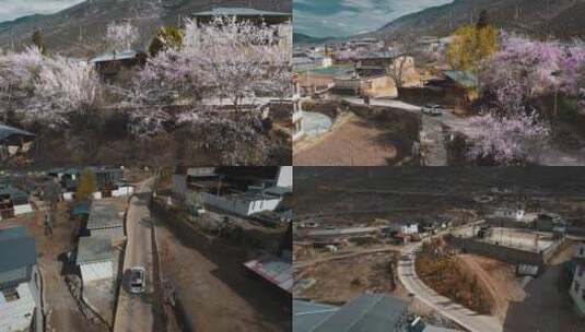 开车穿过香格里拉尼西藏族村庄春季桃花盛开高清在线视频素材下载
