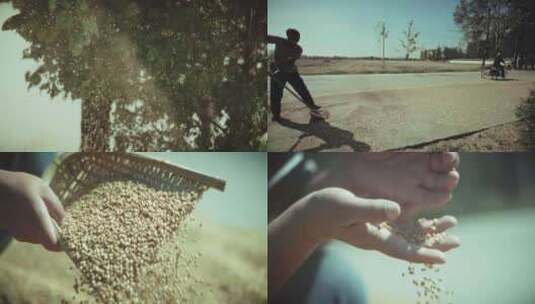 童年小时候麦收季节-古法手工酿制高清在线视频素材下载