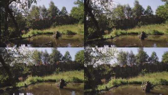 部落，战争，维京人，长矛高清在线视频素材下载