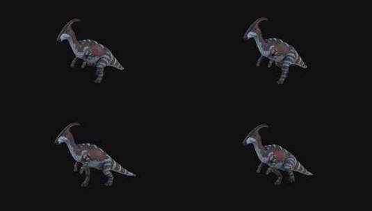 Parasaurolophus恐龙行走高清在线视频素材下载