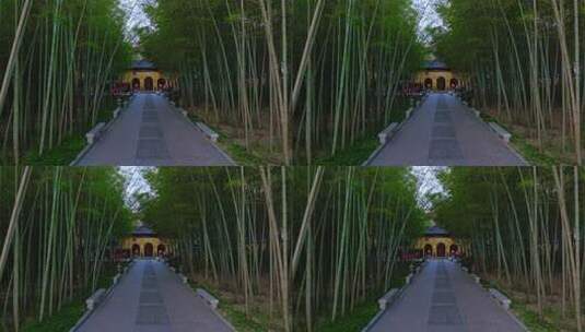 宝华禅寺 山林全景 航拍寺院 墓前寺高清在线视频素材下载