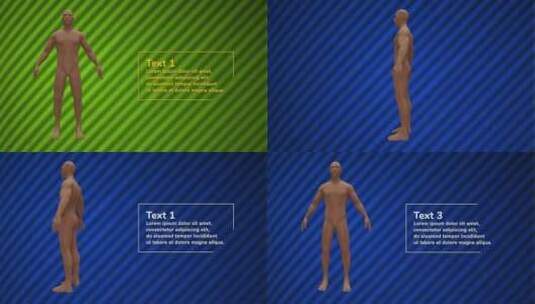 人体模板模特医疗健康健身品牌药品推广宣传讲解介绍AE模板高清AE视频素材下载