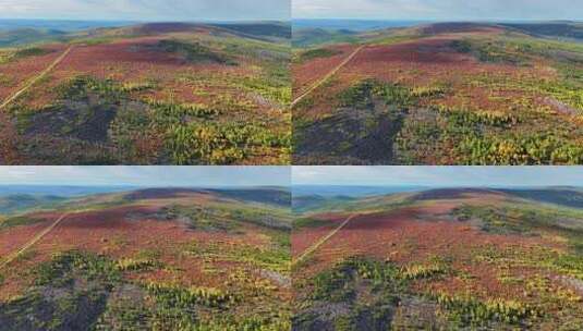 航拍大兴安岭北部原始林长梁北山红树林-75高清在线视频素材下载