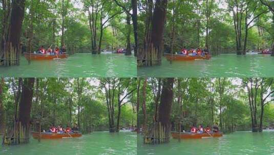 森林河流水上森林贵州旅游风光高清在线视频素材下载