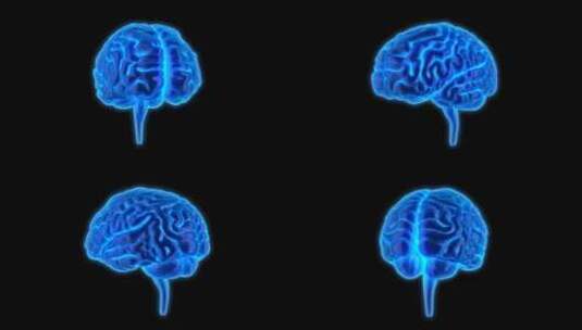 医学 大脑 脑科学 三维 脑ct1 模型高清在线视频素材下载