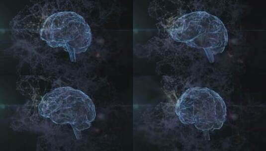 医学 大脑 脑科学 三维 脑ct1 模型高清在线视频素材下载