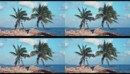 风吹海滩空镜高清在线视频素材下载