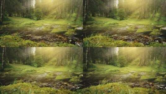郁郁葱葱的绿色森林里_阳光照在流水上高清在线视频素材下载
