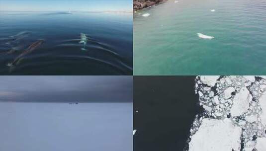 北极环境地貌 合集高清在线视频素材下载