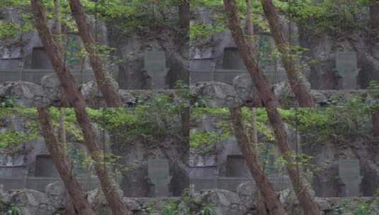 杭州吴山景区紫阳山摩崖石刻群高清在线视频素材下载