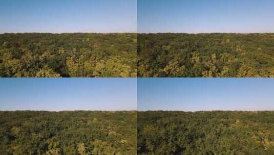 航拍秋季森林景观高清在线视频素材下载