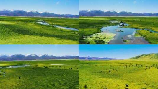 4K青藏高原草原航拍素材（绿）高清在线视频素材下载