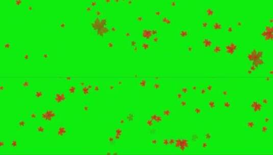 绿幕-自然-枫叶飞舞高清在线视频素材下载