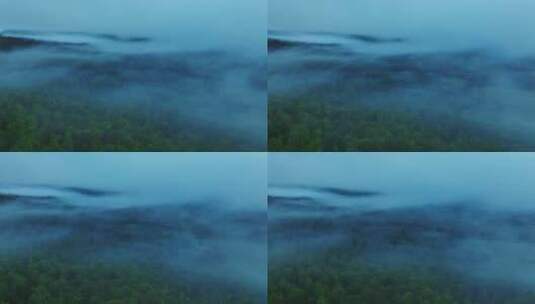 航拍喀纳斯森林云海高清在线视频素材下载