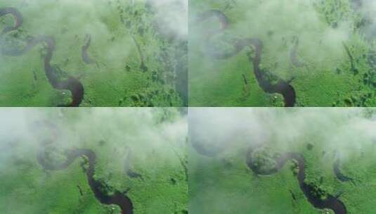 航拍森林河、哈乌尔河高清在线视频素材下载