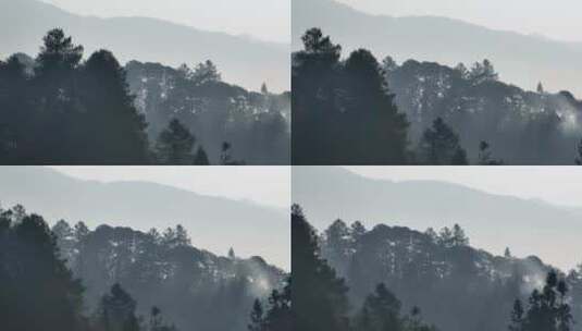 清晨的山林云雾山水画高清在线视频素材下载