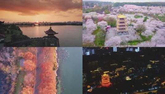 武汉东湖夕阳樱花地标建筑航拍 视频合集高清在线视频素材下载