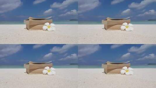 在沙滩上有两本书和一朵花高清在线视频素材下载