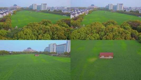 城市里的农田高清在线视频素材下载
