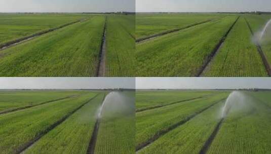 农业洒水车给绿地浇水的无人机视图高清在线视频素材下载