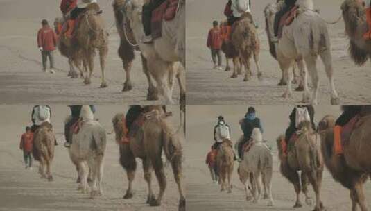 人们骑着骆驼在沙漠中前行高清在线视频素材下载