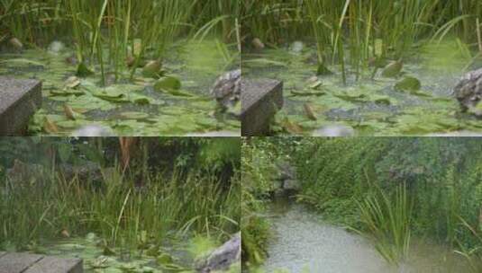 4k唯美 夏季下雨 绿植空镜意境高清在线视频素材下载