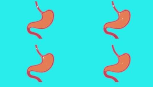 肠胃消化道吸收动画高清在线视频素材下载